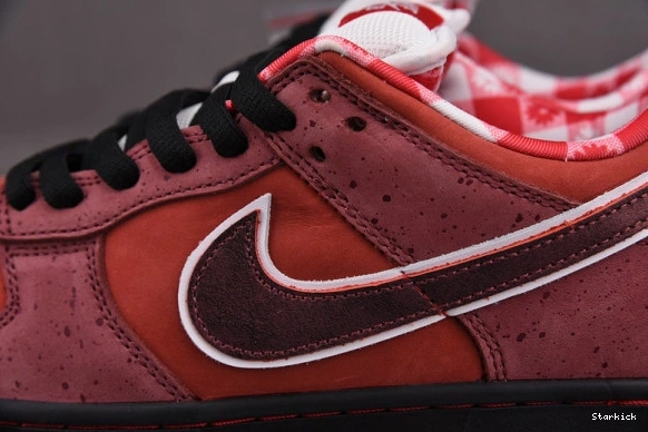 313170-661 Low Lobster SB Nike Concepts Dunk Red 0909